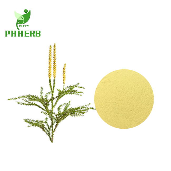 lycopodium powder